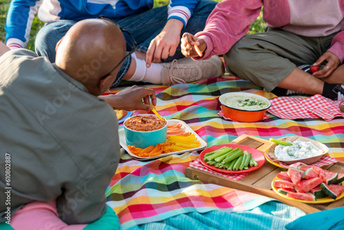 people having good time at a picnic