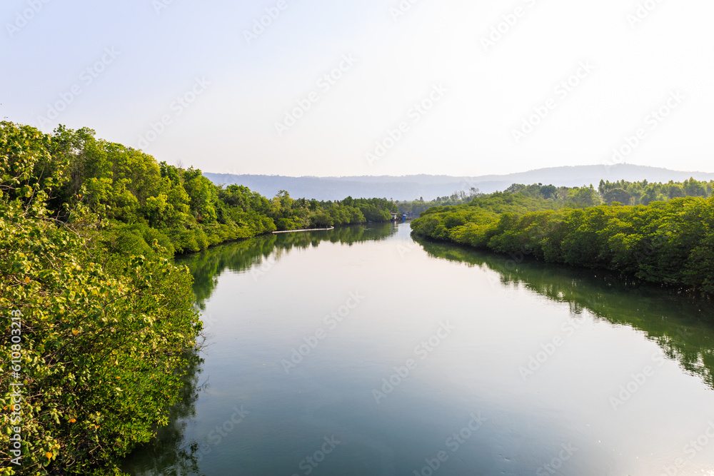 Mangrove and tropical mangrove forests,Thailand