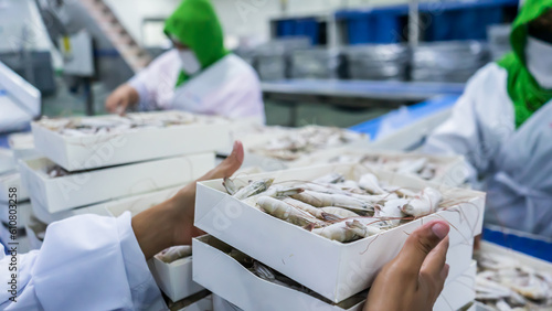 Farmed shrimp production plant packing frozen white prawns in a box