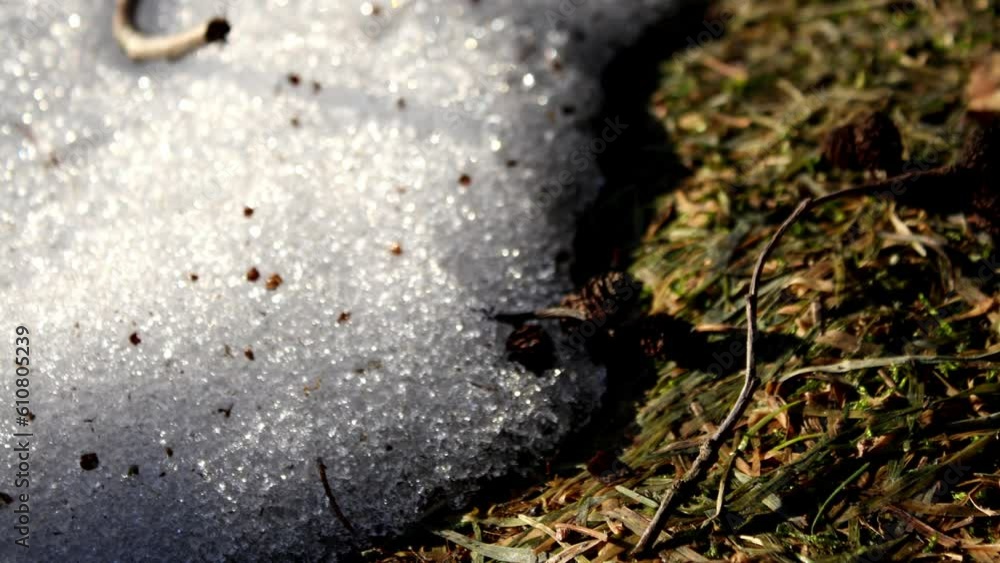 Melting snow timelapse Melting snow timelapse