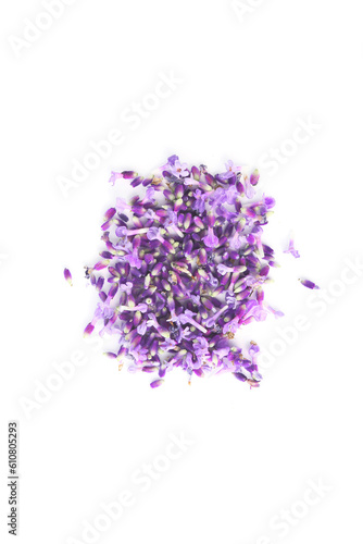 flowers of lavender isolated on a white background 