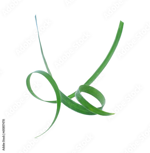 Beautiful and fresh green leaves of Hymenocalis littoralis plants for transparent png photo