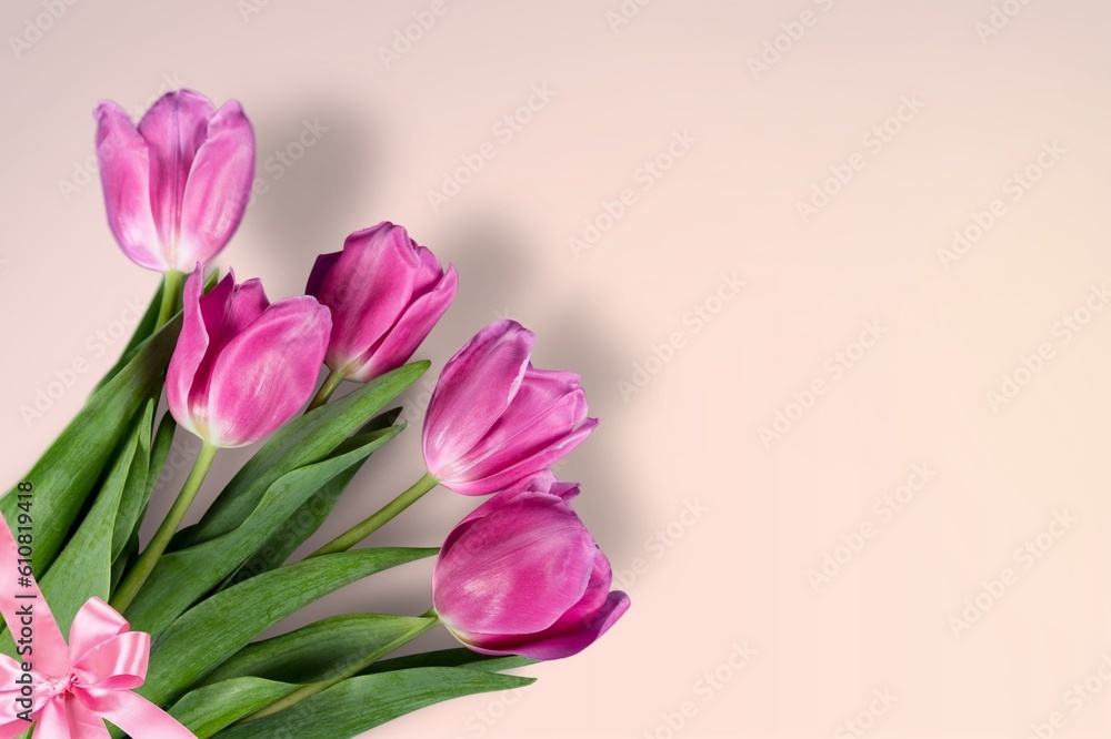 Beautiful fresh colored flowers on background.