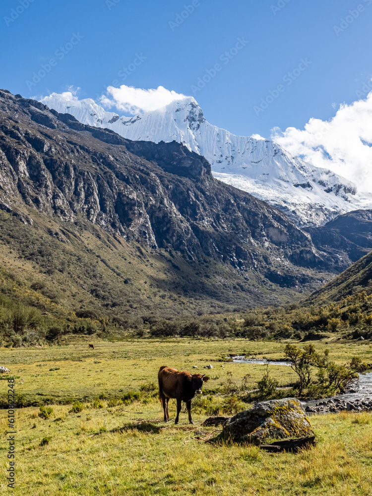 Camino a la Laguna 69 en el Parque Nacional Huascarán, en la Cordillera Blanca, Huaraz, Ancash, Peru