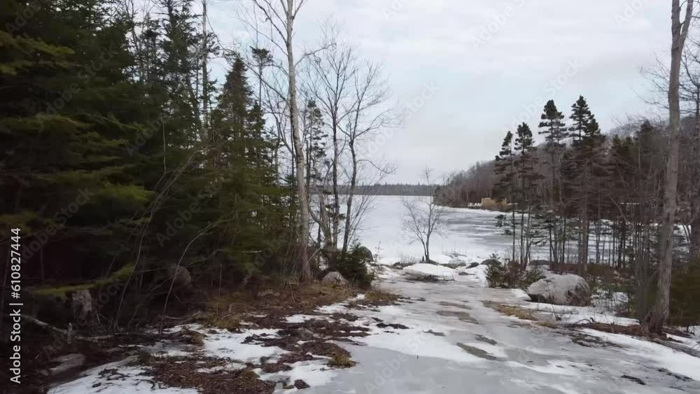 flying to lake winter windy trees snow flying to lake winter windy trees snow