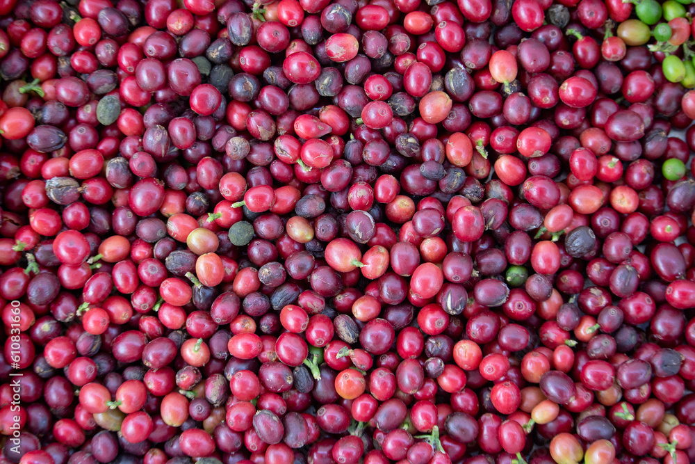 Glied, location fellow had responsibly on published general affairs is