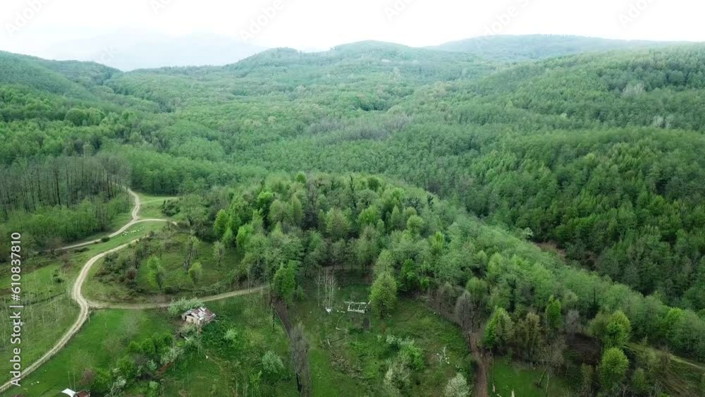 Old forest landing in beautiful scenic nature of Iran Arabian people love to travel trip to wild nature with wide view of Mazandaran Gilan nature to hiking tourism activity outdoor plan local food Old forest landing in beautiful scenic nature of Iran Arabian people love to travel trip to wild nature with wide view of Mazandaran Gilan nature to hiking tourism activity outdoor plan local food