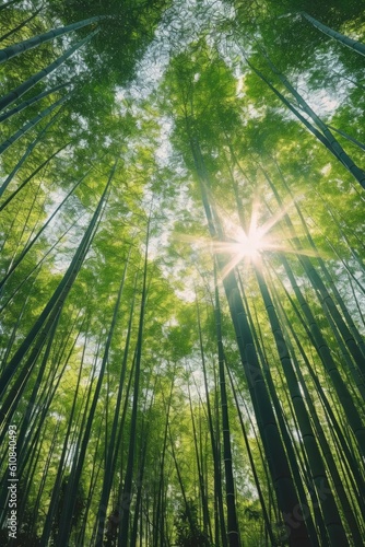 Gazing Up at the Majestic Arashiyama Bamboo Grove Generative AI Digital Illustration Part#060623 