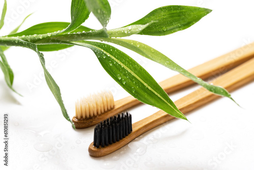 Eco friendly toothbrushes and bamboo plant on white