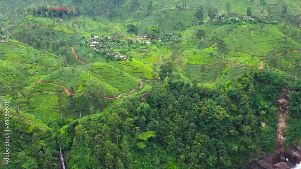 Aerial view of Moray Waterfall flowing into the lake among the hills with green tea. Sri Pada falls. Maskeliya, Sri Lanka.