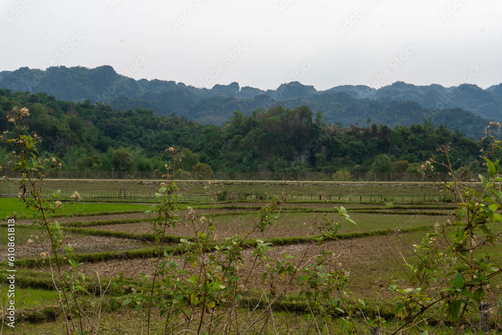 Green fields with luxurious mountain in the background, Thakhek loop, Laos