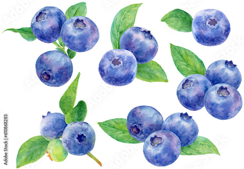 さまざまなブルーベリーの水彩画イラスト　素材集