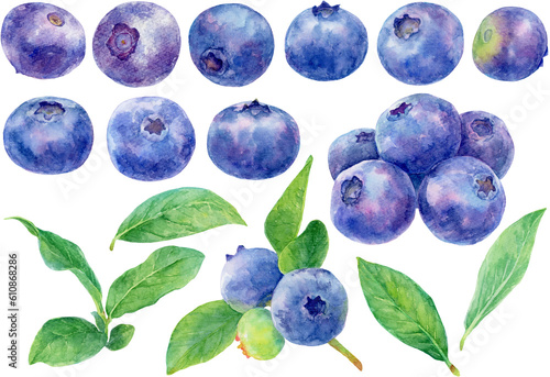 さまざまなブルーベリーの水彩画イラスト　素材集
