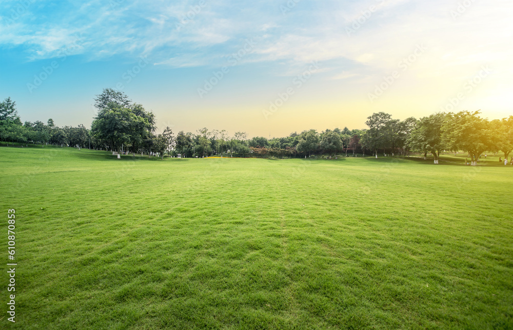 Green lawn in urban public park Green lawn in urban public park