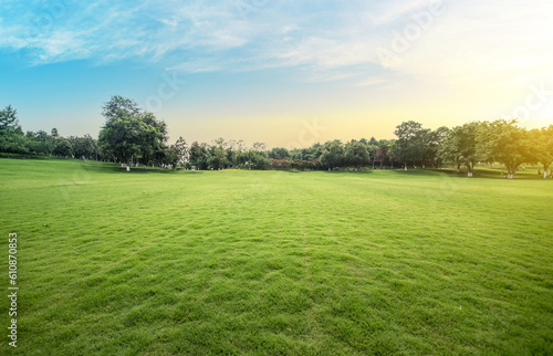 Obraz na plátně Green lawn in urban public park