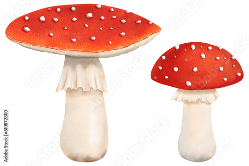 Set of bright red poisonous mushroom fly agaric. Isolated watercolor illustration - tutorial, guidebook, workbook, workbook, notebook, print, scrapbooking, Sticker, exercise book, textile, design