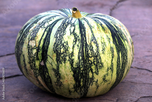 fresh colored pumpkin on the ground