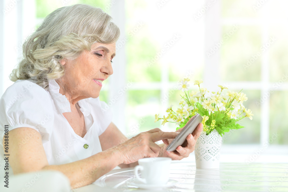 Portrait of beautiful old woman with remote control Portrait of beautiful old woman with remote control