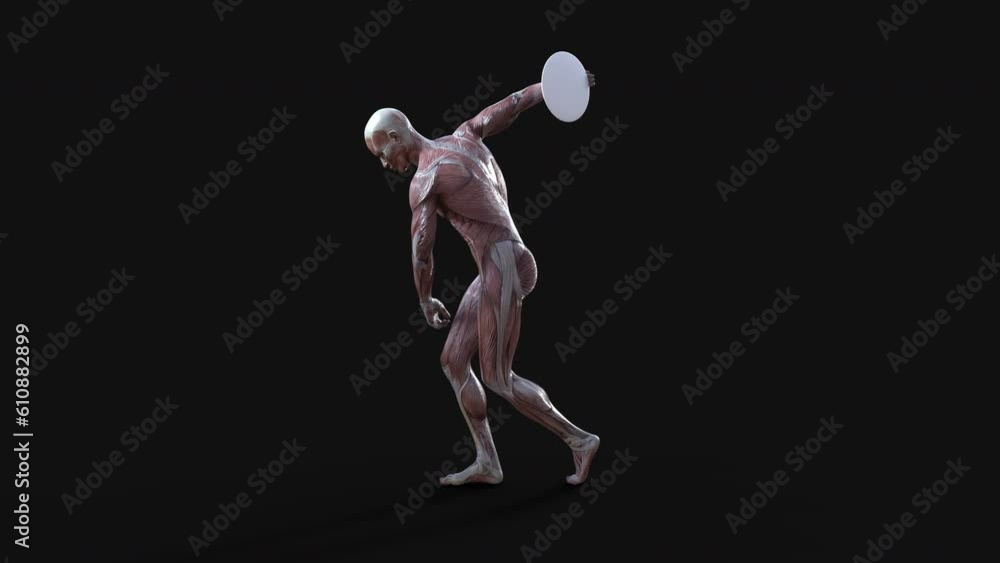 3D render of male figures pose with skin and muscle map on dark background with clipping path, Concept of between gods pose. 3D render of male figures pose with skin and muscle map on dark background with clipping path, Concept of between gods pose.