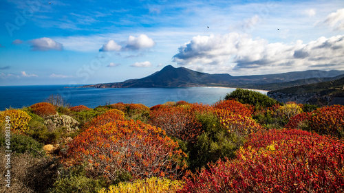 Wild landscapes and cliffs in Buggerru coastline, Sardinia
