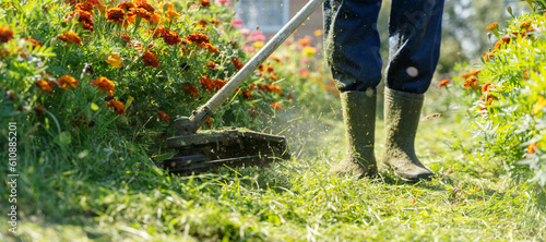 a gardener with a grass trimmer mows the grass