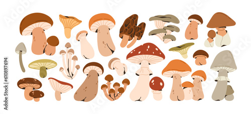 Mushrooms set. Autumn forest plants. Fall season food, raw healthy natural fungi, stalks and caps of different types. Modern botanical flat graphic vector illustrations isolated on white background