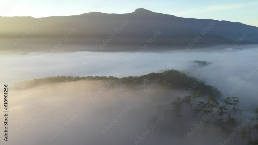 27c national road, Lac Duong, Lam Dong, Vietnam. Misty fog blowing over pine tree forest. Footage of spruce forest trees on the mountain hills at misty day. Morning fog at beautiful autumn forest. 27c national road, Lac Duong, Lam Dong, Vietnam. Misty fog blowing over pine tree forest. Footage of spruce forest trees on the mountain hills at misty day. Morning fog at beautiful autumn forest.