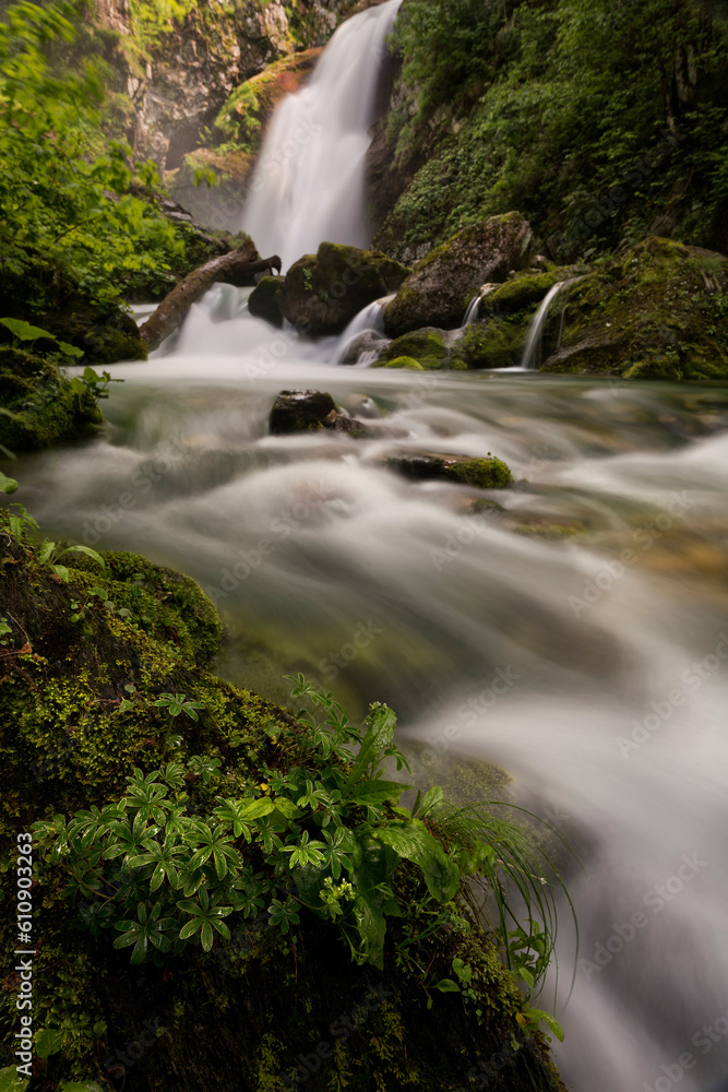 Fototapeta premium Gias Fontana Fall