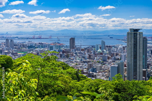 六甲山から眺める新緑と神戸の街（中央区・灘区の街並み・左前方に六甲アイランドが見えます）