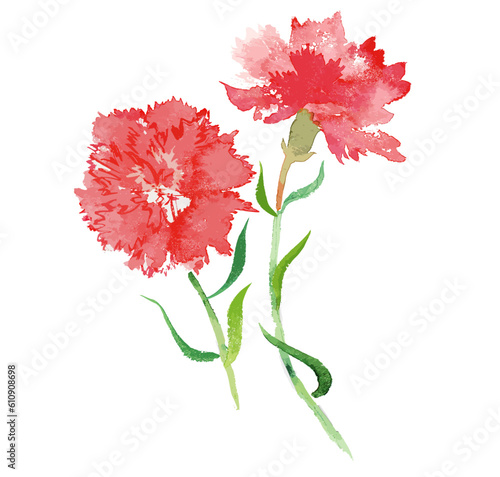 水彩のカーネーションの花