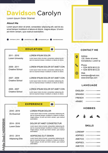 professional curriculum vitae template vector
