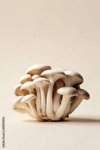 mushroom on cream background, generative ai