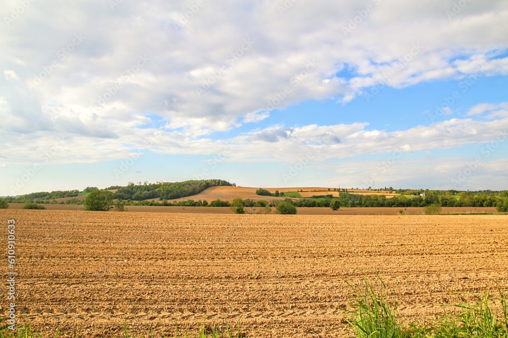 field of corn field of corn
