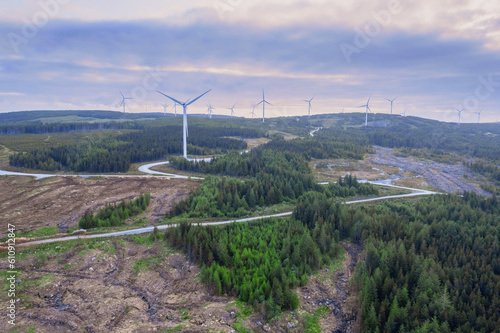 Freshly cut forest and wind farm, aerial view. Forestry industry. Increase of using firewood due to economical crisis. Aerial view.