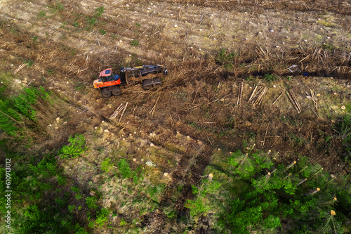 Timber harvester tractor with red cabin in a field with tree stumps. Aerial view. Forest cutting equipment. Building and firewood production. Ecology issue. Professional tool or equipment for top job