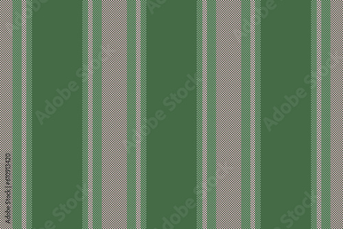Texture pattern lines of fabric stripe textile with a background seamless vector vertical.