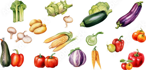 Set of watercolor mixed vegetables Easy to draw, white background 