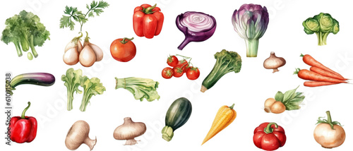Set of watercolor mixed vegetables Easy to draw, white background 