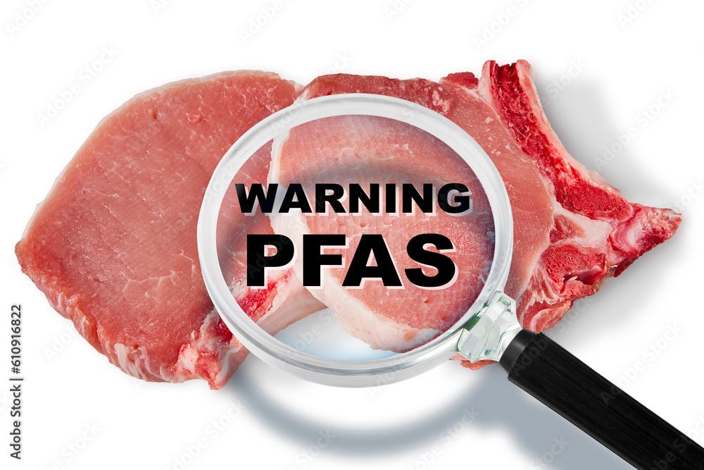 Fresh pork steak HACCP (Hazard Analysis and Critical Control Points