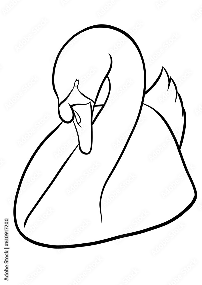 Swan outline illustration isolated on transparent background Swan outline illustration isolated on transparent background