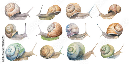 watercolor snail clipart for graphic resources