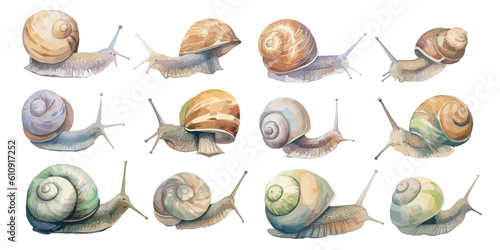 watercolor snail clipart for graphic resources