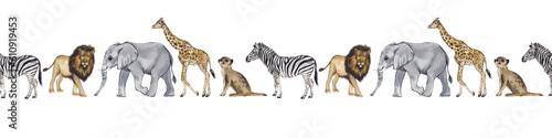 Watercolor seamless border with african animals isolated on white background. Realistic giraffe, zebra, meerkat, elephant, lion. Packaging design, ribbons, stationery, ceramics, textiles. © Yana