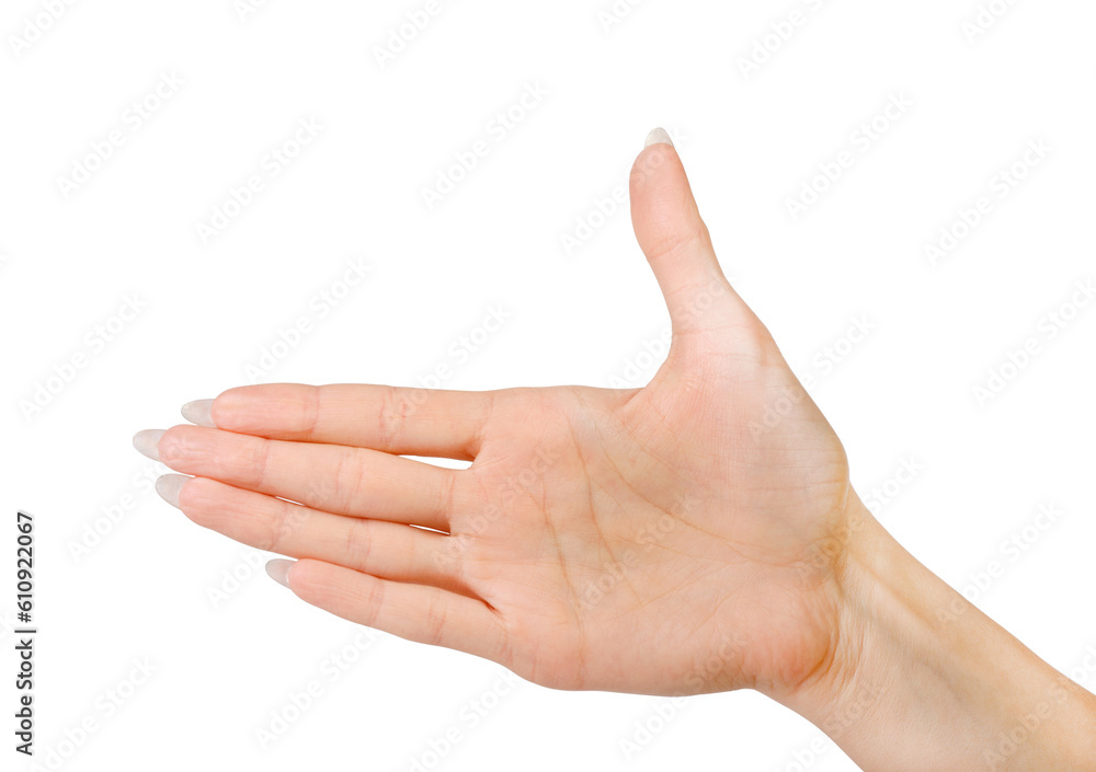 Woman hand palm gesture isolated on white background. Woman hand palm gesture isolated on white background.