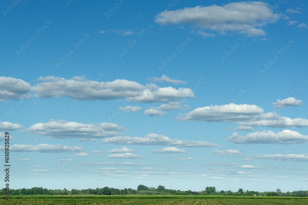 Beautiful clouds over the agricultural field