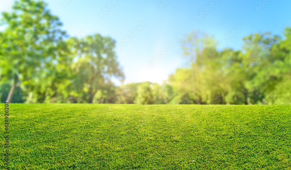 natural grass field background with blurred bokeh and sun rays