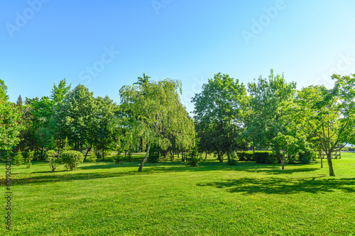 Fototapeta Naklejka Na Ścianę i Meble -  sunny landscape of green lawn and trees in summer park