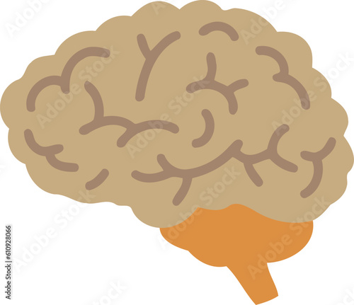Human Brain Organ