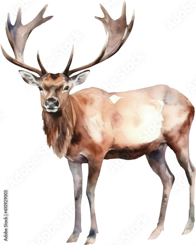 Caribou Deer Watercolor Illustration. Generative AI