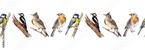 Watercolor seamless border with forest birds. Robin bird, lark, woodpecker, titmouse. Decoration of ribbons, adhesive tape, stationery, scrapbooking. Cute design, vintage style